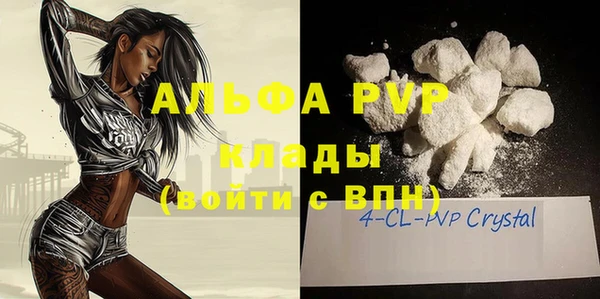 сатива Арсеньев