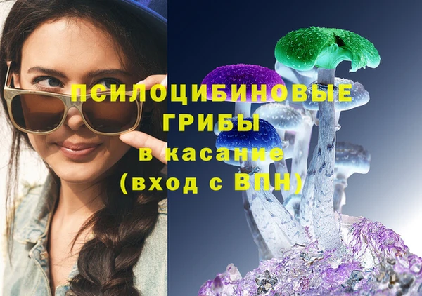 сатива Арсеньев